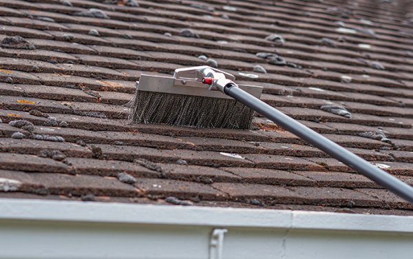 Tagkost til mosfjernelse 700x700-2